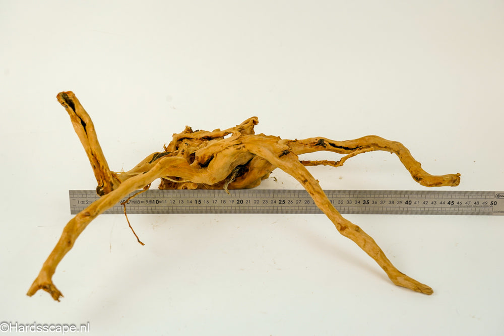 Spiderwood XL127 - Hardscape.nl