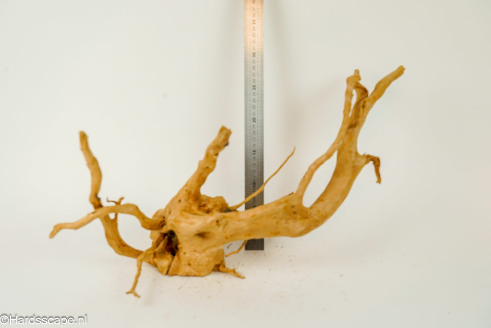 Spiderwood XL136 - Hardscape.nl