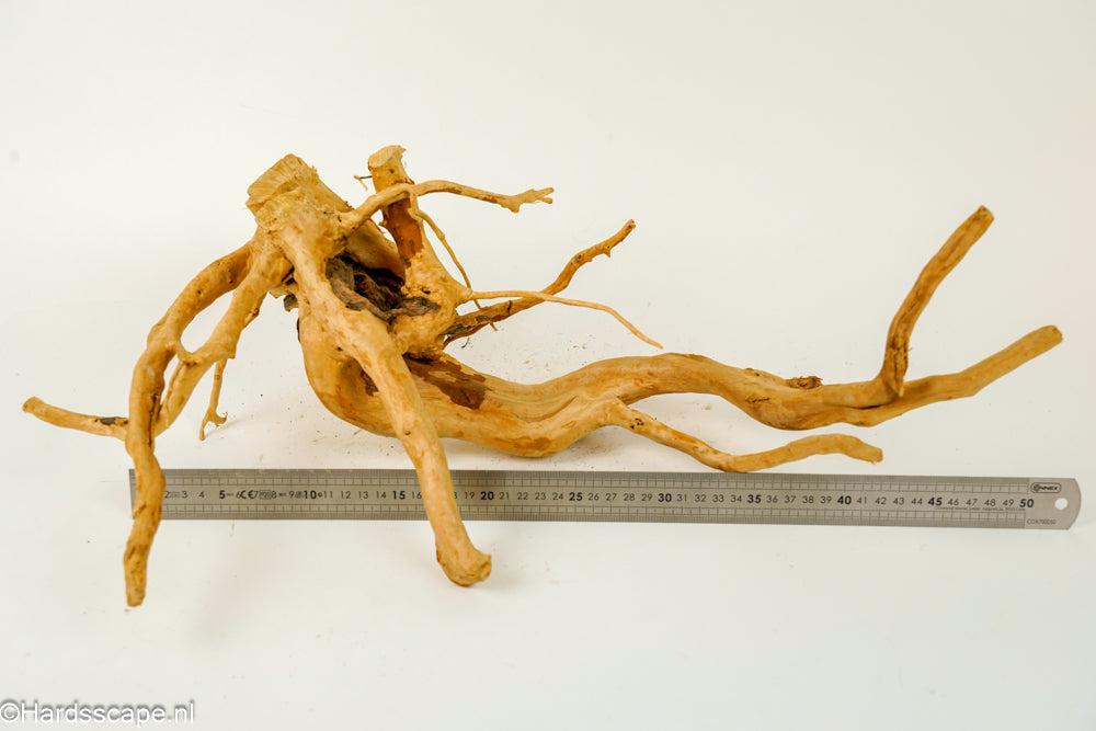 Spiderwood XL136 - Hardscape.nl