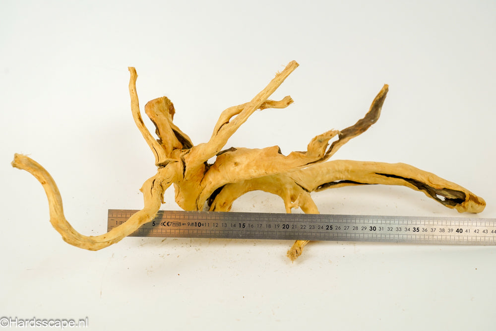 Spiderwood XL138 - Hardscape.nl