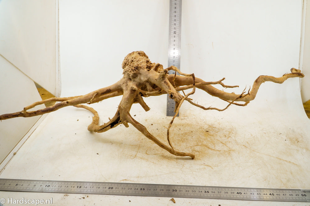Spiderwood XL93 - Hardscape.nl