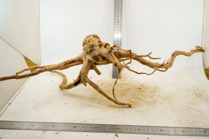 Spiderwood XL93 - Hardscape.nl