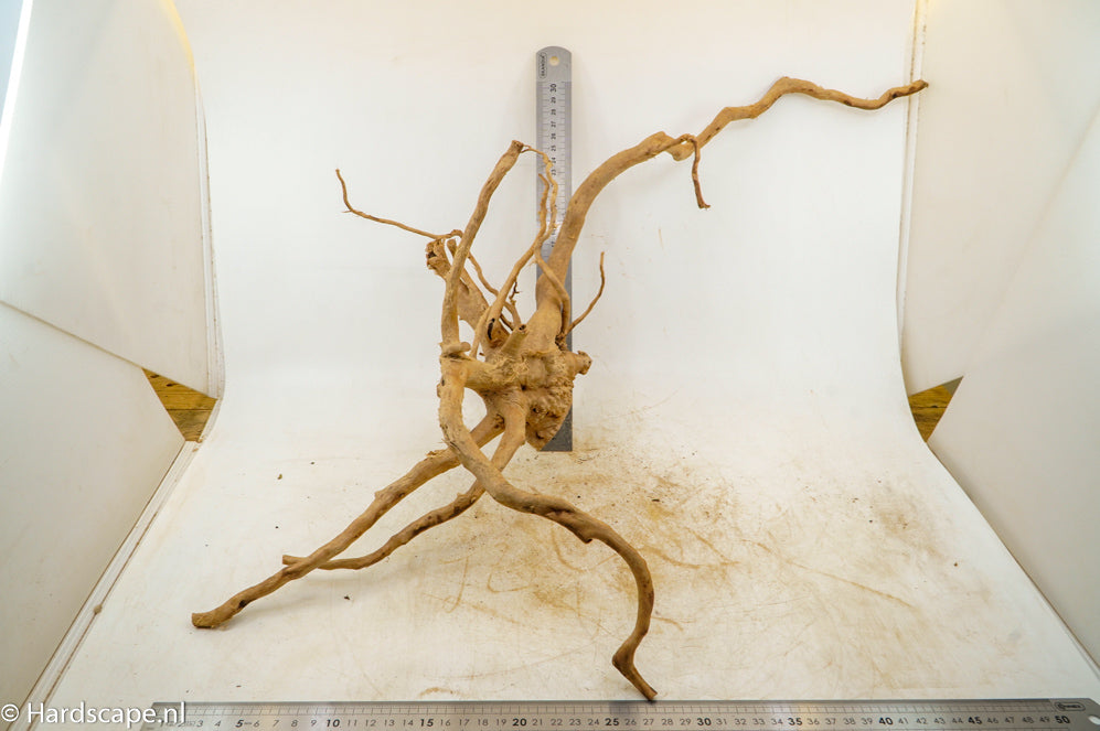 Spiderwood XL93 - Hardscape.nl