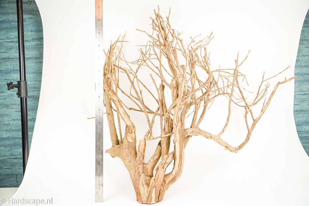 Talawa Wood 187 - Hardscape.nl
