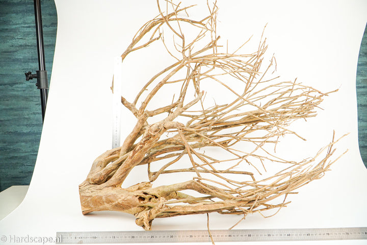 Talawa Wood 187 - Hardscape.nl
