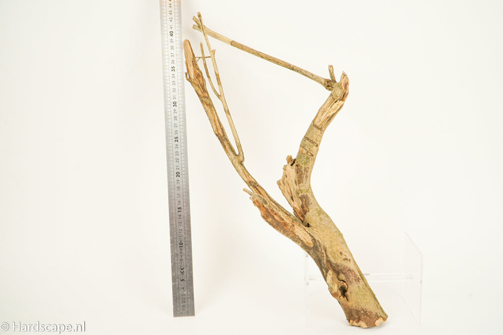 Talawa Wood 188 - Hardscape.nl