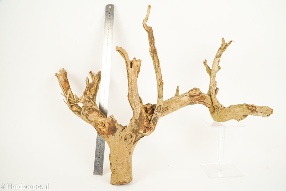 Talawa Wood 190 - Hardscape.nl