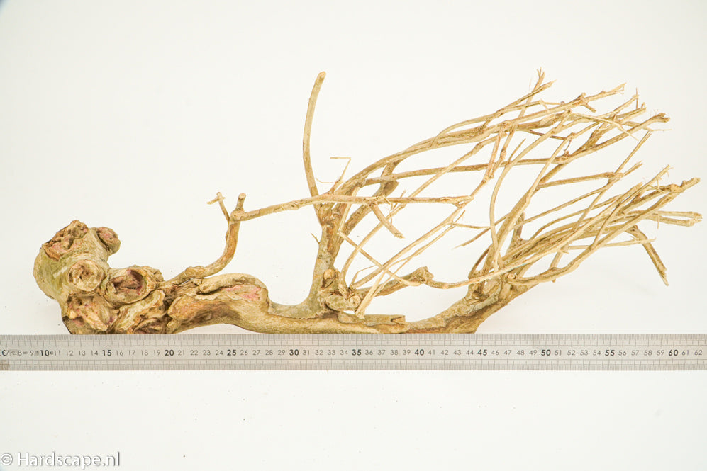 Talawa Wood 192 - Hardscape.nl