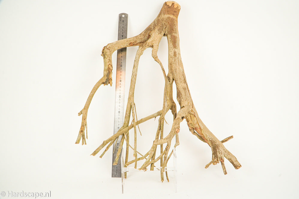 Talawa Wood 194 - Hardscape.nl