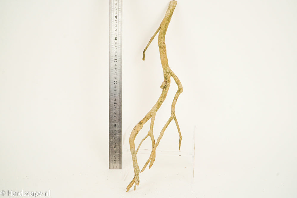 Talawa Wood 195 - Hardscape.nl