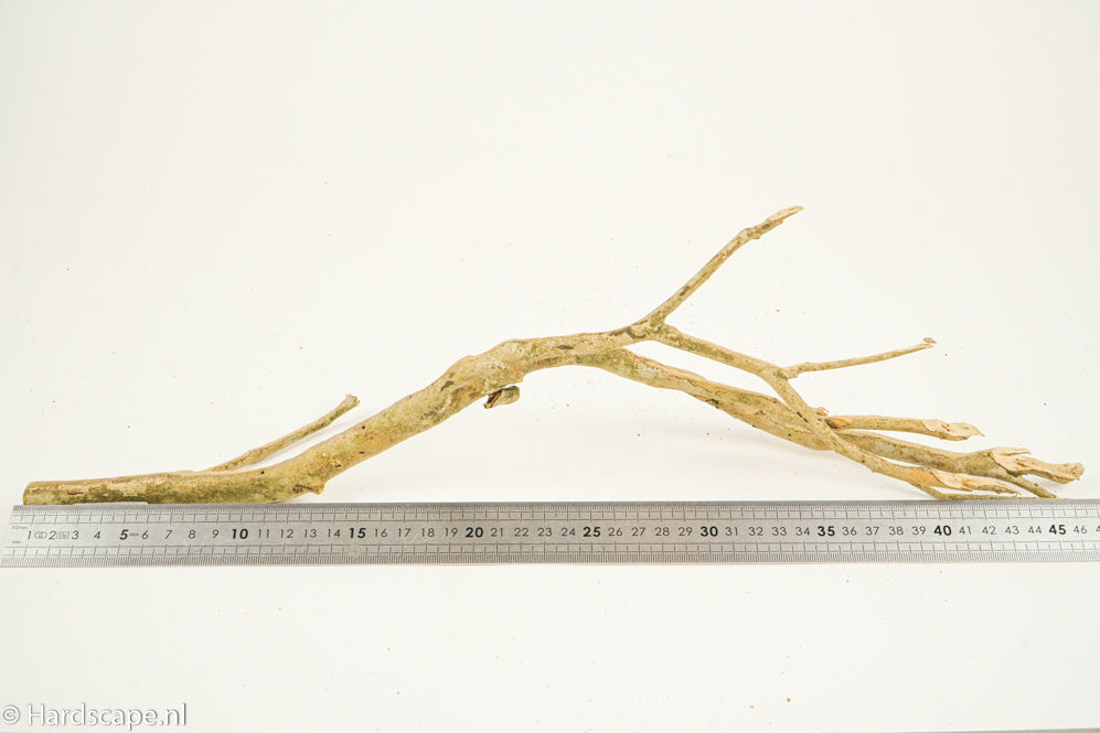 Talawa Wood 195 - Hardscape.nl