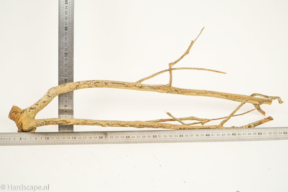 Talawa Wood 196 - Hardscape.nl