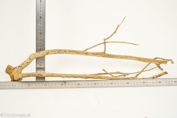 Talawa Wood 196 - Hardscape.nl