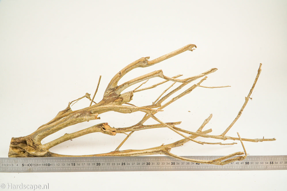 Talawa Wood 199 - Hardscape.nl