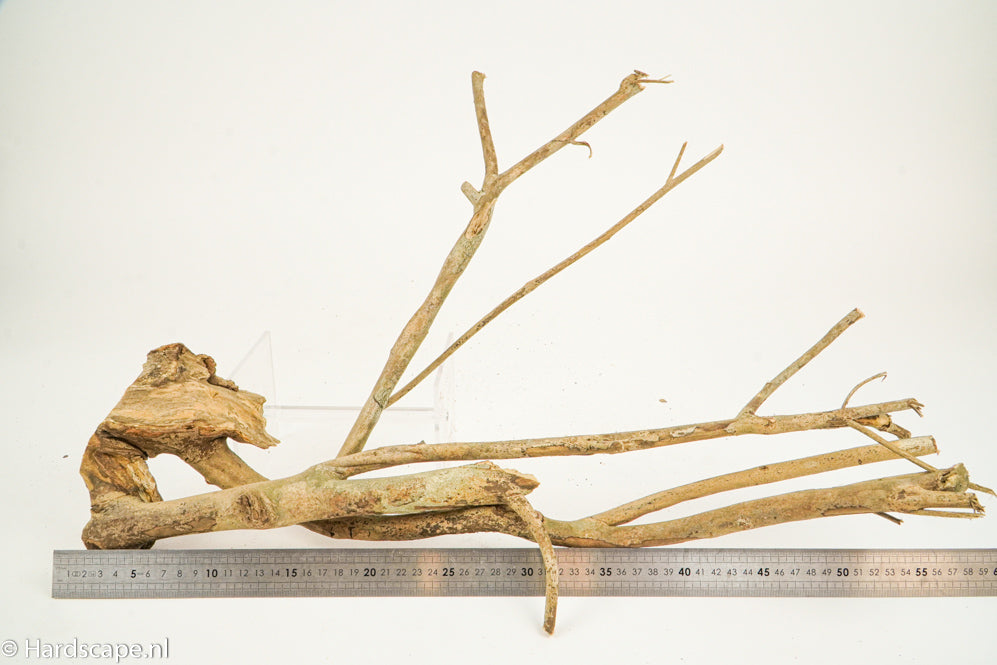 Talawa Wood 202 - Hardscape.nl