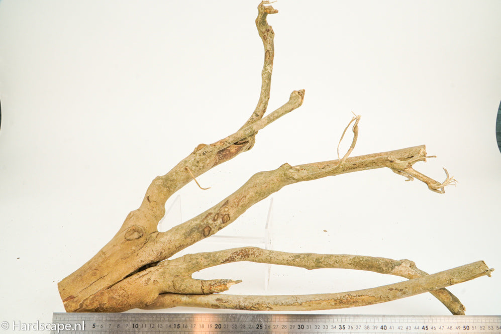 Talawa Wood 206 - Hardscape.nl