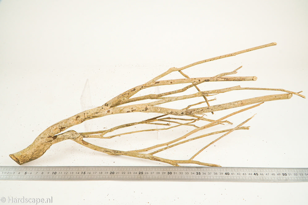 Talawa Wood 207 - Hardscape.nl