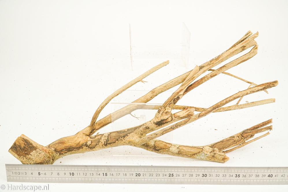 Talawa Wood 208 - Hardscape.nl