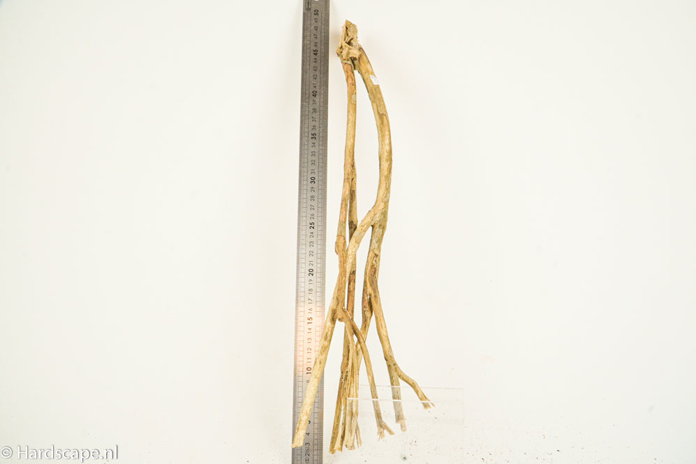 Talawa Wood 209 - Hardscape.nl