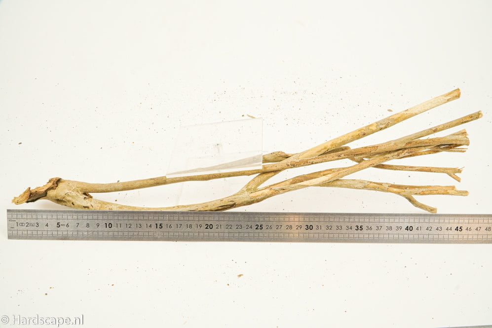 Talawa Wood 209 - Hardscape.nl