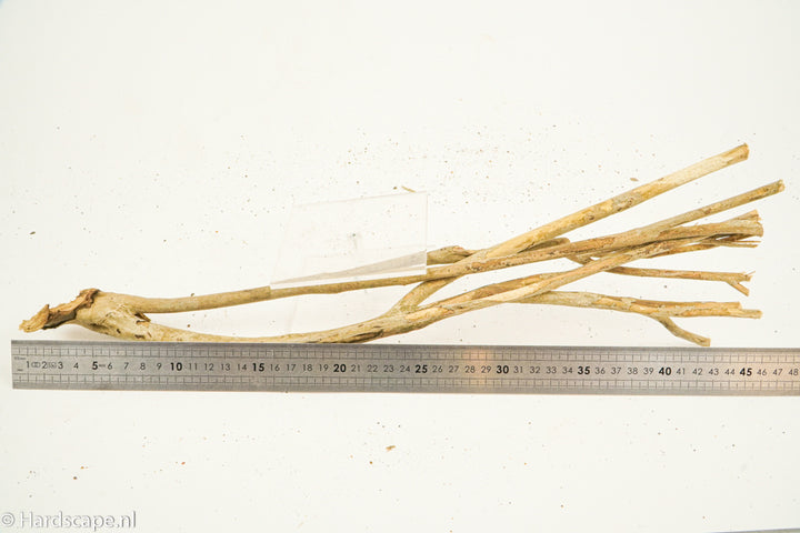Talawa Wood 209 - Hardscape.nl