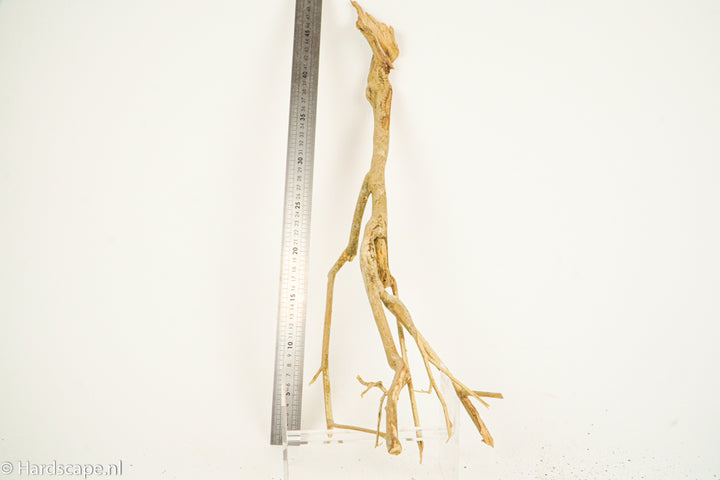 Talawa Wood 213 - Hardscape.nl