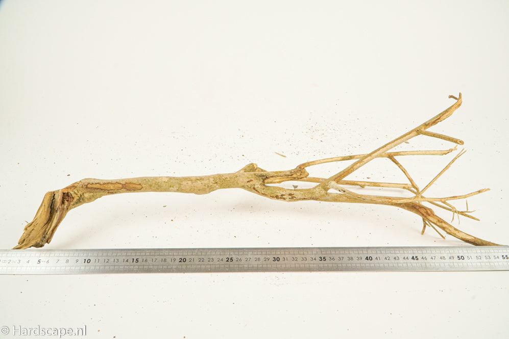 Talawa Wood 213 - Hardscape.nl