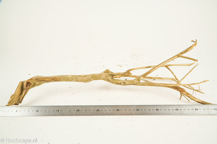 Talawa Wood 213 - Hardscape.nl