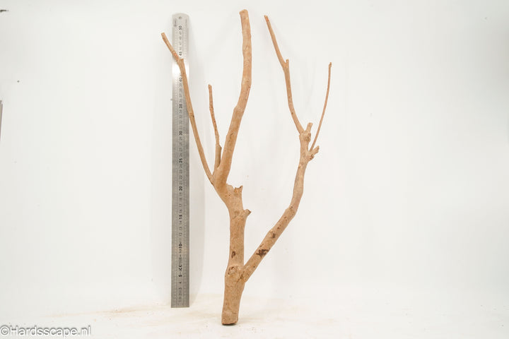Talawa Wood 271