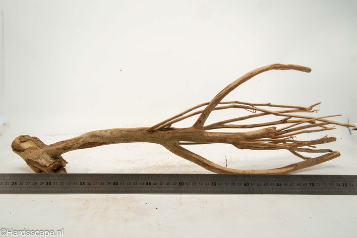 Talawa Wood 272