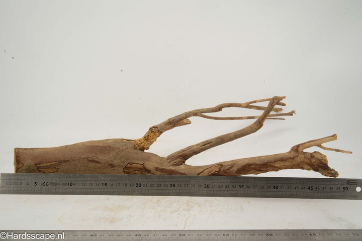 Talawa Wood 273