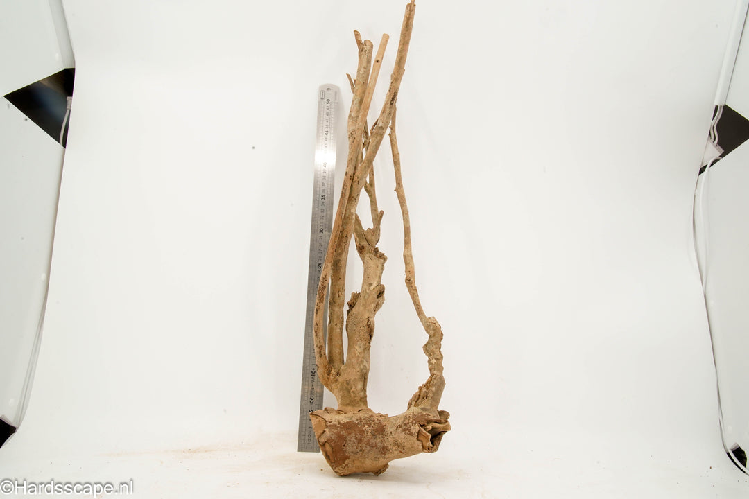 Talawa Wood 274