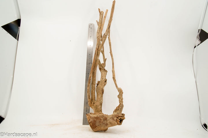 Talawa Wood 274