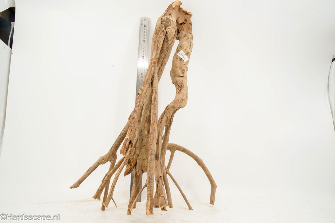 Talawa Wood 277
