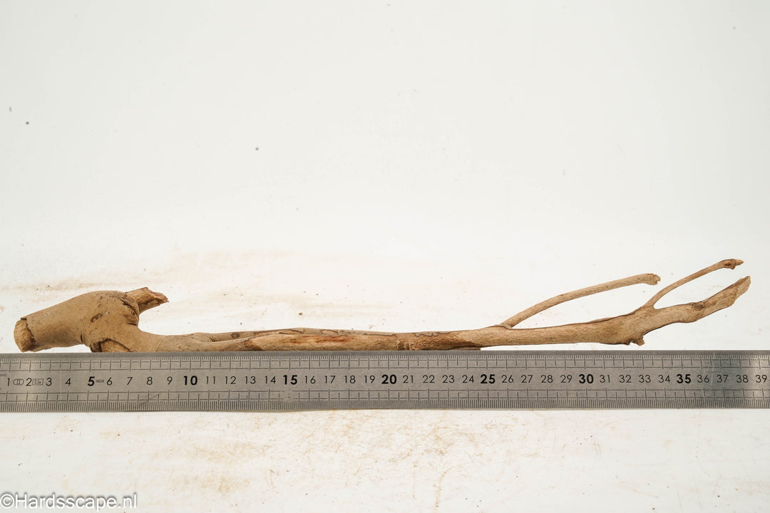Talawa Wood 278