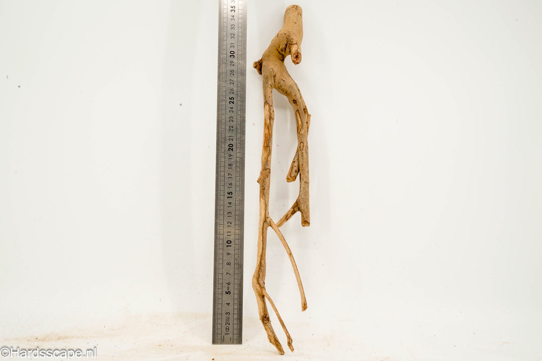 Talawa Wood 278