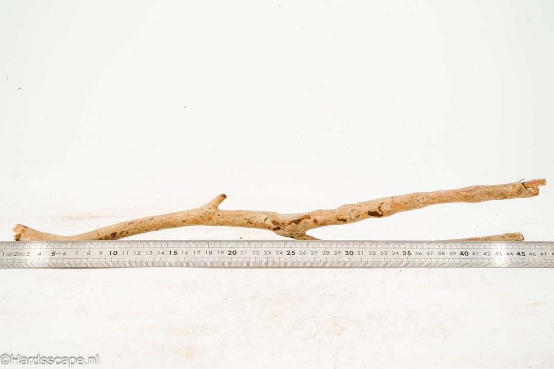 Talawa Wood 279