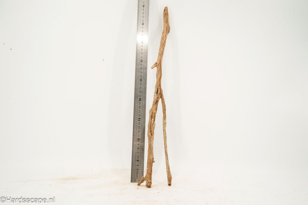 Talawa Wood 279