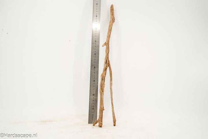 Talawa Wood 279