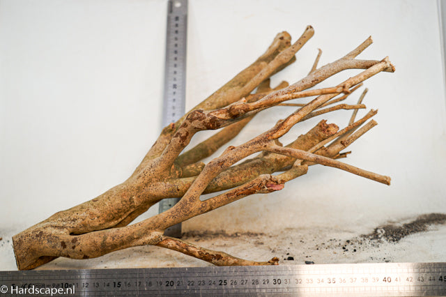 Talawa wood 264 - Hardscape.nl