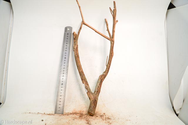 talawa wood 255 - Hardscape.nl