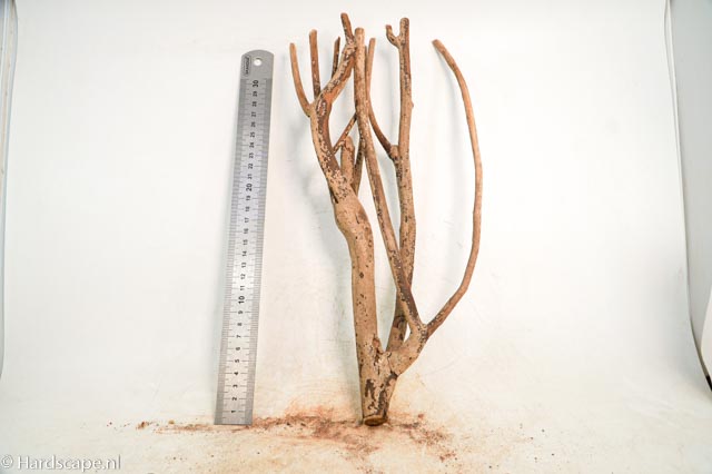 talawa wood 258 - Hardscape.nl