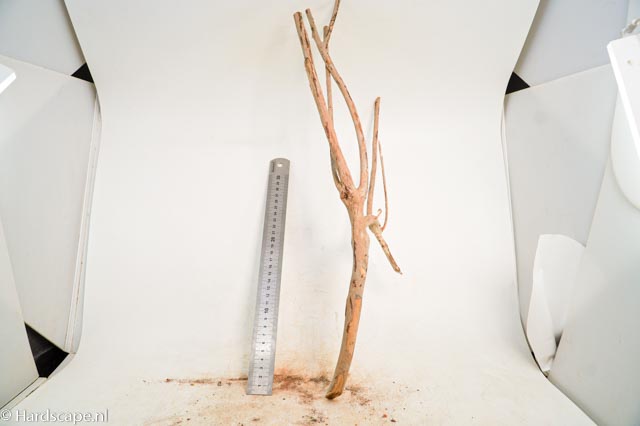 talawa wood 263 - Hardscape.nl