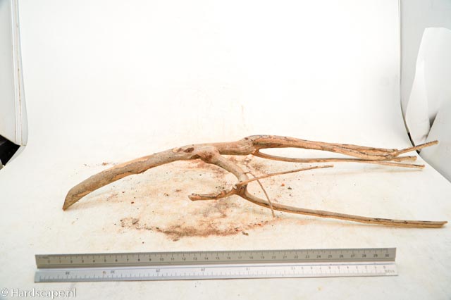 talawa wood 263 - Hardscape.nl