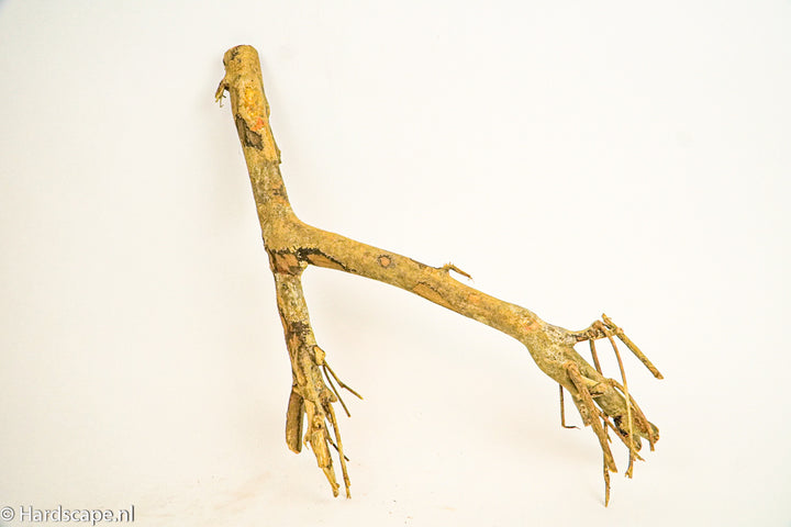 Talawa Wood 236 - Hardscape.nl