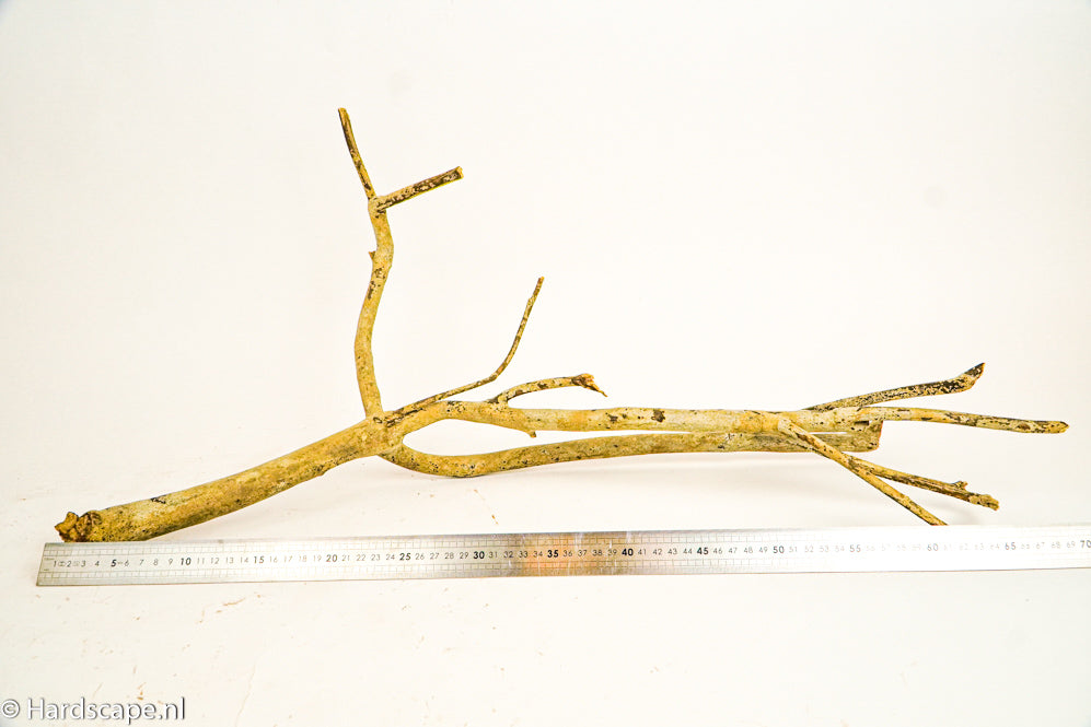 Talawa Wood 239 - Hardscape.nl