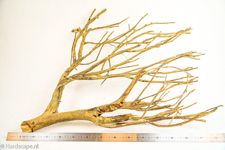 Talawa Wood 249 - Hardscape.nl