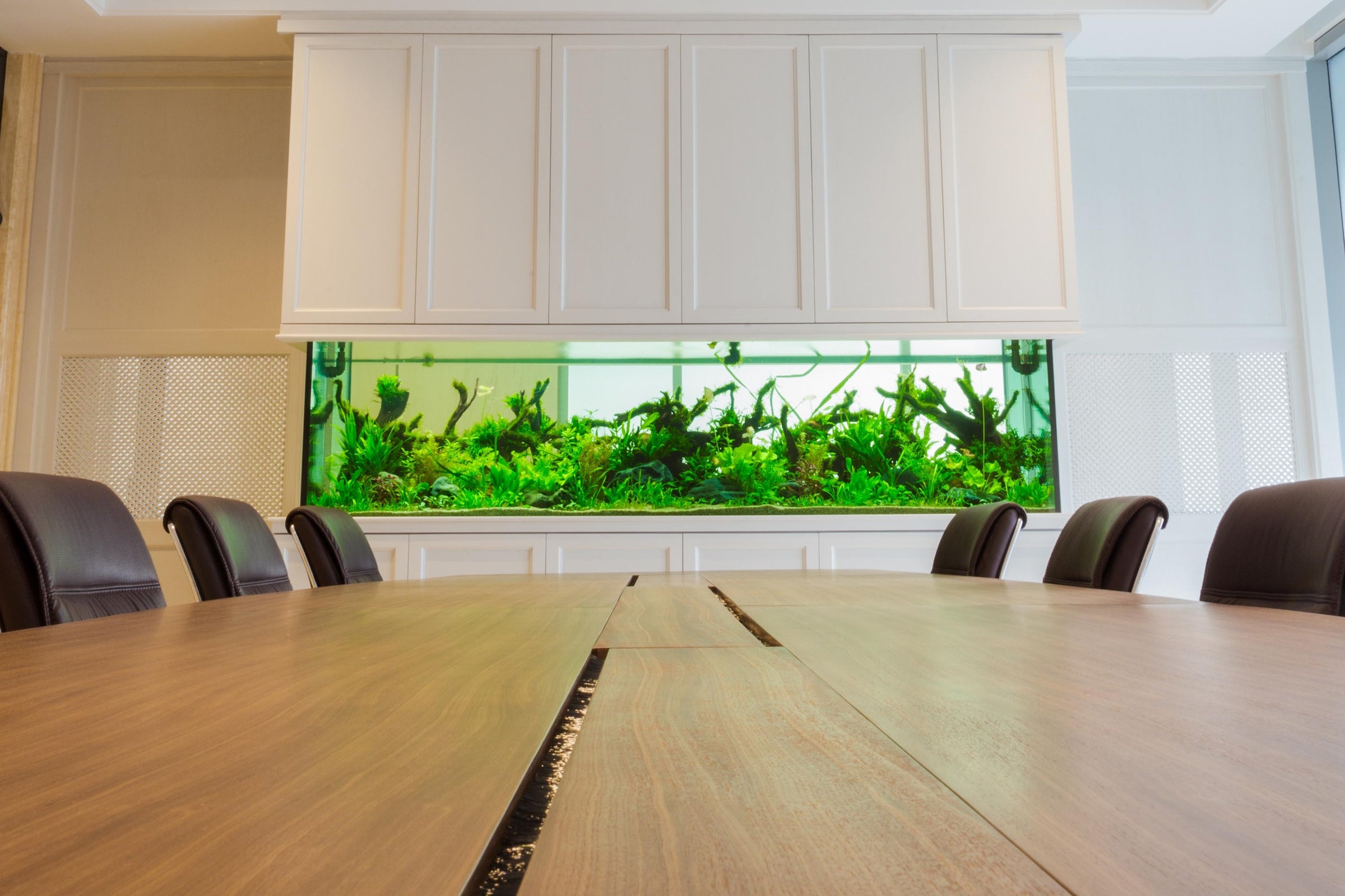 aquarium_vergaderzaal_header_home