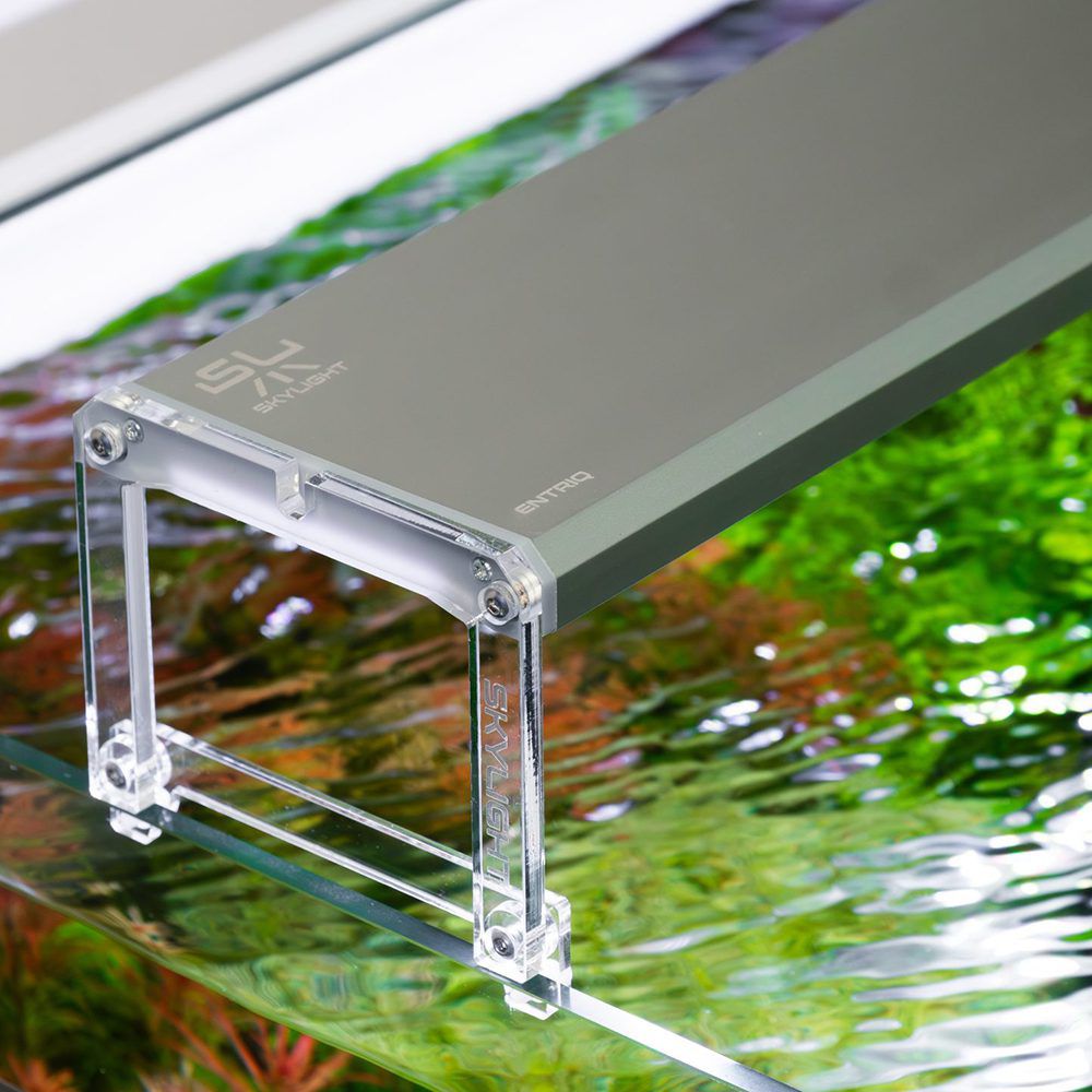 Skylight Entriq - Hardscape.nl