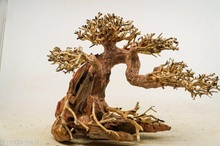 Claw Bonsai tree - Hardscape.nl